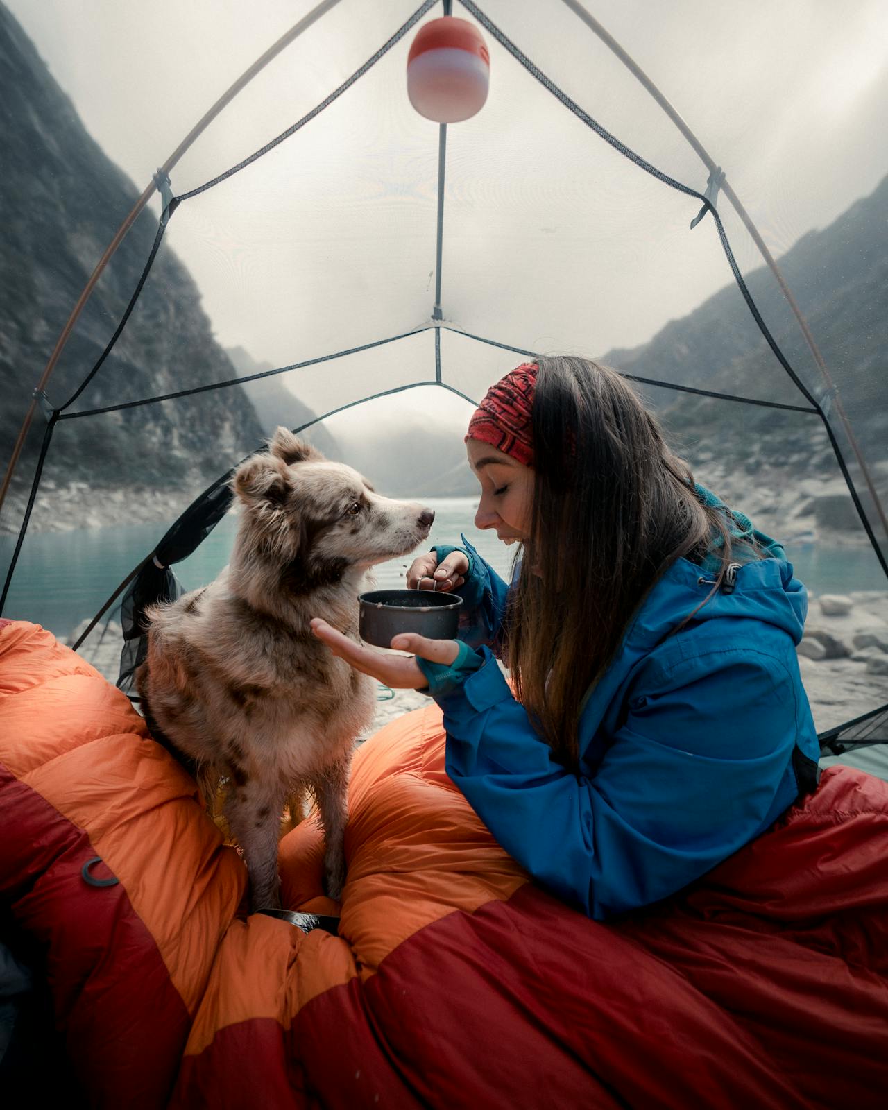 Is Camping with a Dog a Good Idea?